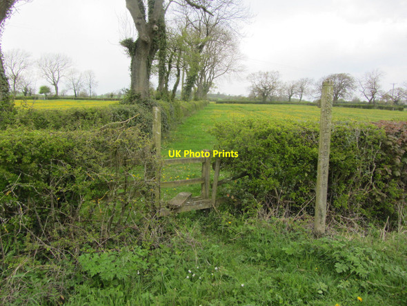 Photo 6"x4" Footpath running north from Stanton Lane near Upper Mayfield Mayfield\/SK1545 c2012