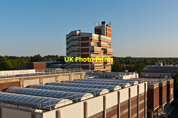 Photo 6"x4" Walnuts rooftops Orpington c2012