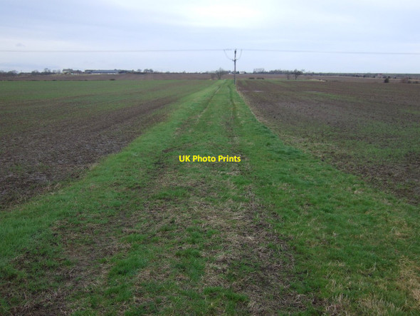Photo 6"x4" Farm track of Mill Lane Longnewton\/NZ3816 c2013