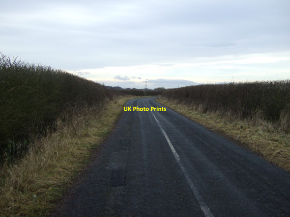 Photo 6"x4" Mill Lane towards West Hartburn Oak Tree\/NZ3513 c2013