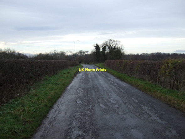 Photo 6"x4" Mill Lane towards the A67 Oak Tree\/NZ3513 c2013