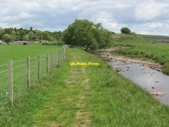 Photo 6"x4" On River Ayr Way, southwest of Greenockmains Bridge Garpel c2012