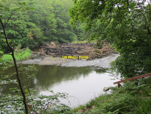 Photo 6"x4" On the River Ayr Way - log jam on the River Ayr, south of Annbank Annbank c2012