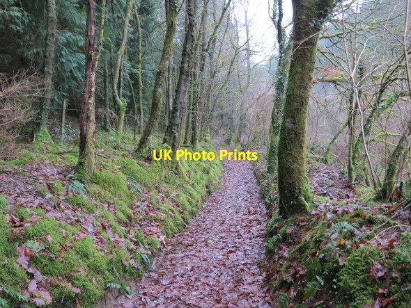 Photo 6"x4" Llwybr Ceffyl Llain Bridleway, Brechfa Brechfa\/SN5230 c2013