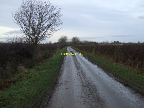 Photo 6"x4" Back Lane heading north Longnewton\/NZ3816 c2013