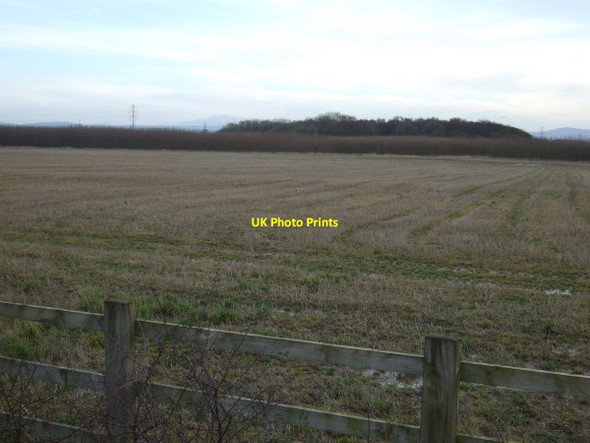 Photo 6"x4" Farmland near Coatham Lodge Longnewton\/NZ3816 c2013