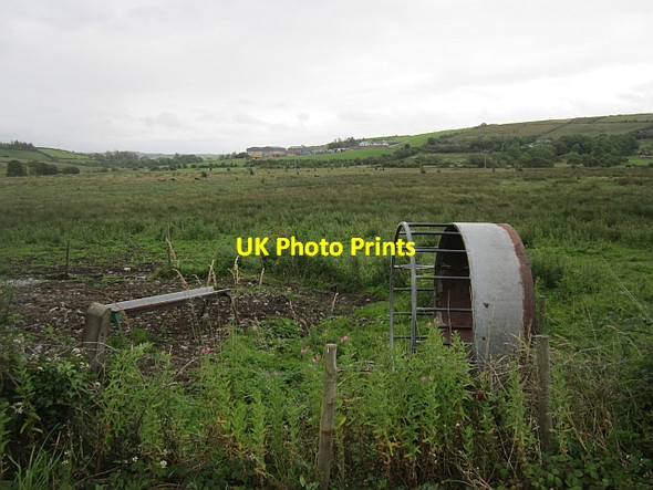Photo 6"x4" Winter feeding place, Drumminabo Clogher c2012