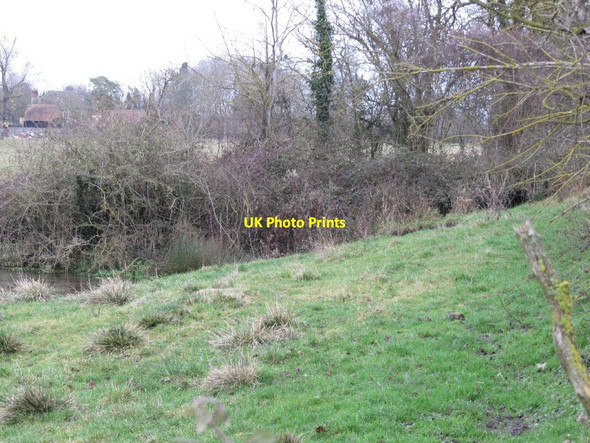 Photo 6"x4" Bank by the spring Cholsey c2012