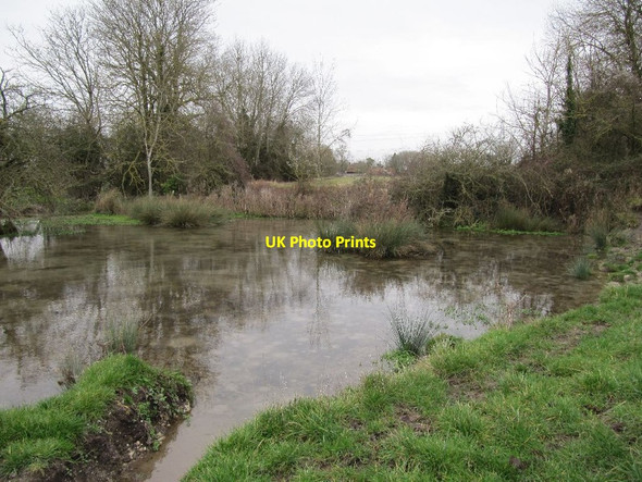 Photo 6"x4" Towards the brook Cholsey c2012