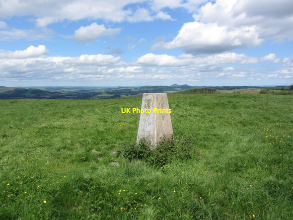 Photo 6"x4" Trig point south of Hartwoodmyres near Ashkirk - View towards Eildon Hills Wollrig c2012