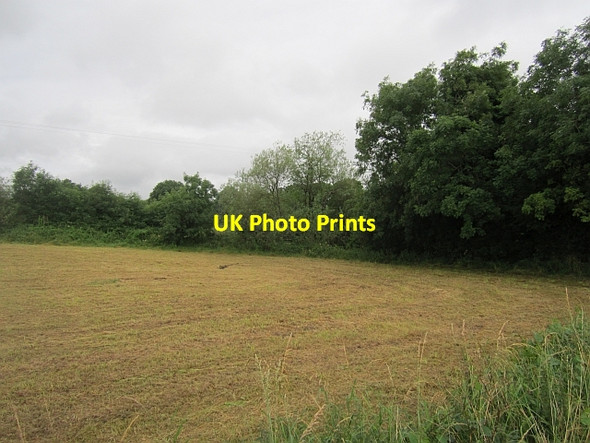 Photo 6"x4" Field between road and canal Ballymahon c2012