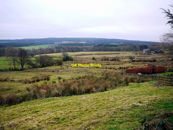 Photo 6"x4" Fields south-east of St Helen's Church Whitley Chapel c2013