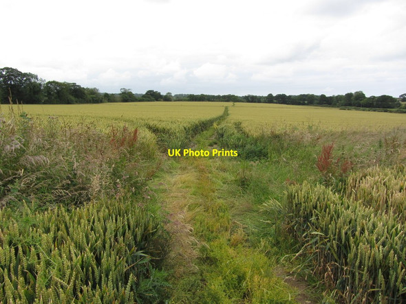 Photo 6"x4" On the Weaver's Way, northwest of Sustead, Norfolk Metton c2012