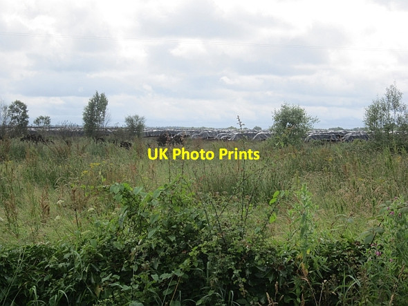 Photo 6"x4" Peat workings, Aghnavealogue Legan c2012