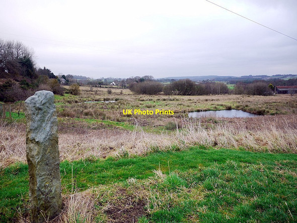 Photo 6"x4" Wetland at Quakers' Hole Whitley Chapel c2013