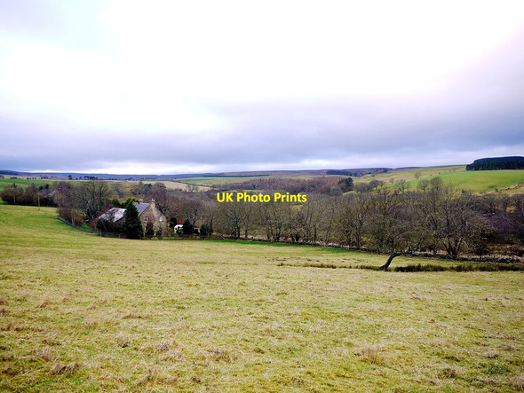 Photo 6"x4" East Lightside Dalton\/NY9158 c2013