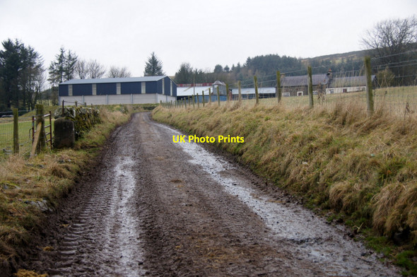 Photo 6"x4" Hatton, near Rattray Blairgowrie c2013