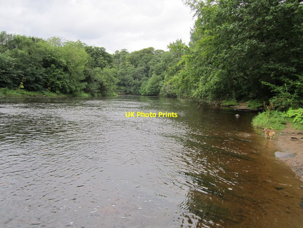 Photo 6"x4" River Wear Great Lumley c2012