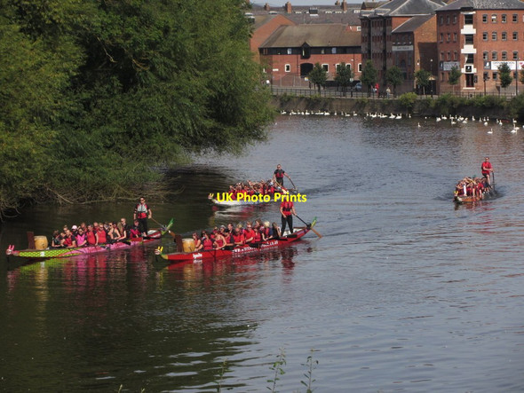 Photo 6"x4" Dragon boat racing on River Severn, Worcester Worcester c2012