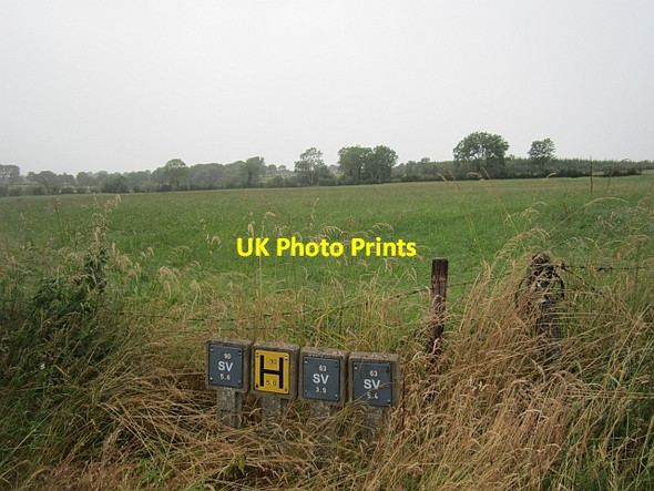 Photo 6"x4" Grass crop Lisduff c2012
