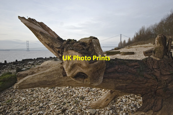 Photo 6"x4" Driftwood at Hessle Haven Hessle\/TA0326 c2013