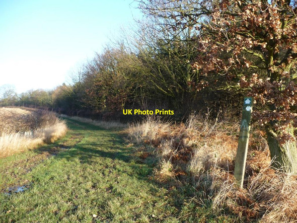 Photo 6"x4" Leeds Country Way [4] Hungate\/SE3726 c2013