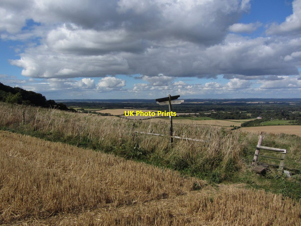 Photo 6"x4" Path crossroads east of Pilot Hill near East Woodhay East Woodhay c2012