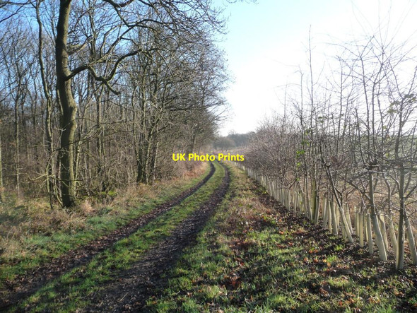 Photo 6"x4" Leeds Country Way [6] Rothwell\/SE3428 c2013