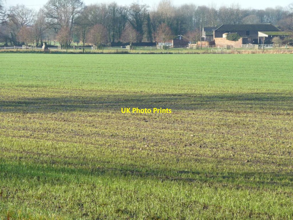 Photo 6"x4" Farmland east of Park Farm Hungate\/SE3726 c2013