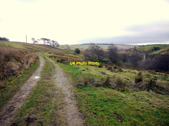 Photo 6"x4" Long Drag near Crabtree Ford Rawgreen c2013