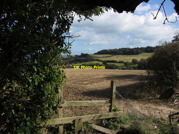 Photo 6"x4" Worsley Trail leading down towards St Blasius Church, Shanklin, IOW Shanklin c2012