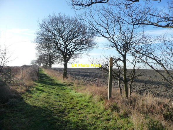 Photo 6"x4" Waymark on the footpath to Hollinthorpe Hollinthorpe c2013