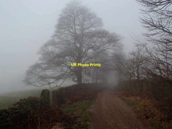 Photo 6"x4" Track to Beeley Hilltop Beeley c2013