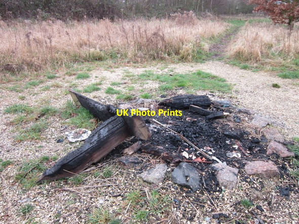 Photo 6"x4" The Community Woodland on Noddle Hill Way, Hull Sutton-on-Hull c2013
