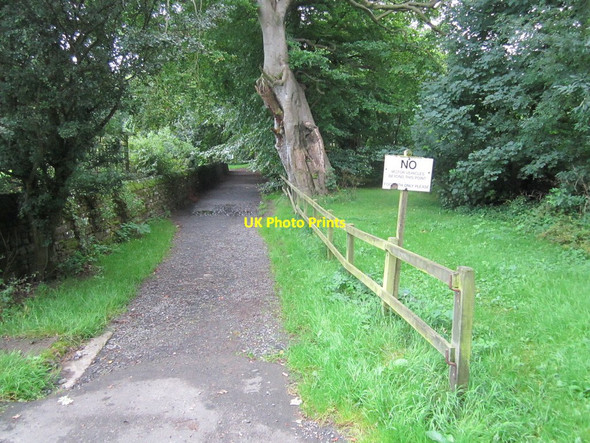 Photo 6"x4" Path to River Bank Middleton in Teesdale c2012