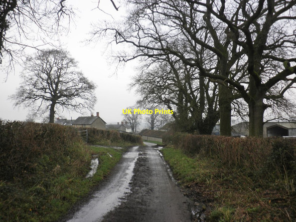 Photo 6"x4" Underhill Lane Staple Lawns c2013