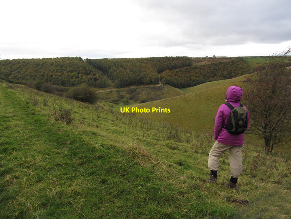 Photo 6"x4" The path above Deep Dale, east of Bishop Wilton Bishop Wilton c2012