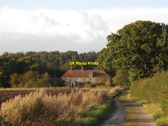 Photo 6"x4" Track leading to Bog Hall, near Castle Howard Coneysthorpe c2012