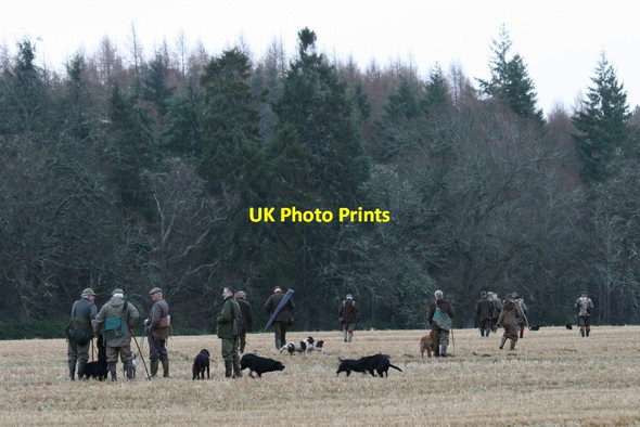 Photo 6"x4" And they're off!!! Woodside\/NJ0555 c2013