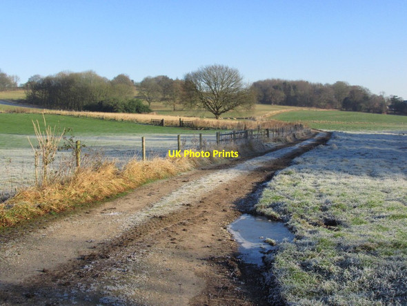 Photo 6"x4" Track leading towards Calwich Abbey on a frosty morning Ellastone c2012