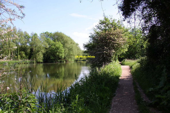 Photo 6"x4" The Thames Path on Fiddler's Elbow Kennington\/SP5202 c2012