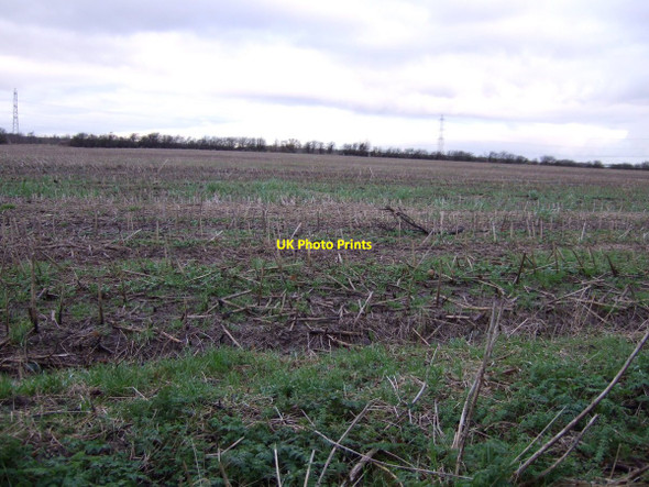 Photo 6"x4" Farmland off Wolviston Mill Lane Billingham c2013