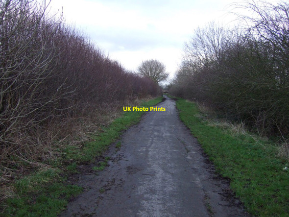 Photo 6"x4" Wolviston Mill Lane Billingham c2013