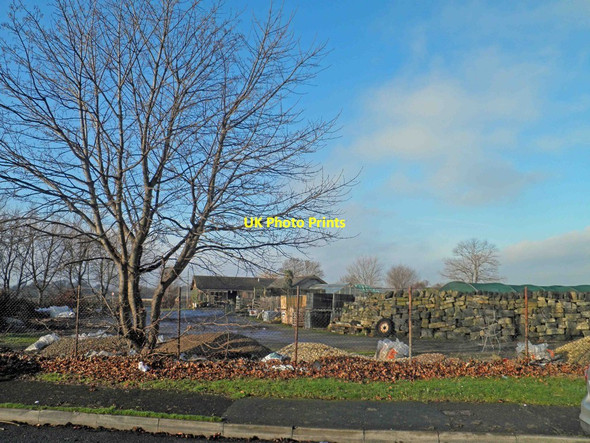 Photo 6"x4" Yew Tree garden centre Darfield Darfield c2013
