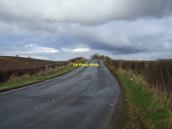 Photo 6"x4" Minor road towards the A177 Grindon\/NZ3925 c2013