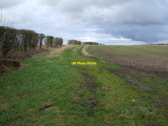 Photo 6"x4" Farmland near Stillington Foxton\/NZ3624 c2013