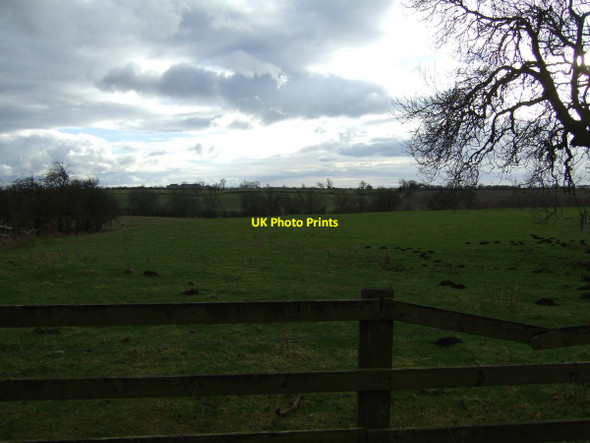Photo 6"x4" Farmland, Old Stillington Old Stillington c2013