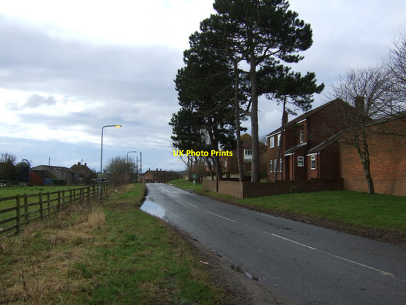 Photo 6"x4" The road through Old Stillington Old Stillington c2013