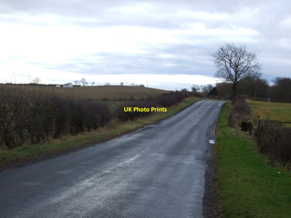 Photo 6"x4" Elstob Lane heading south  Elstob c2013