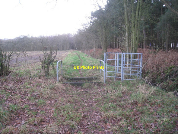 Photo 6"x4" The bridleway to Whisby Road Doddington\/SK9070 c2013